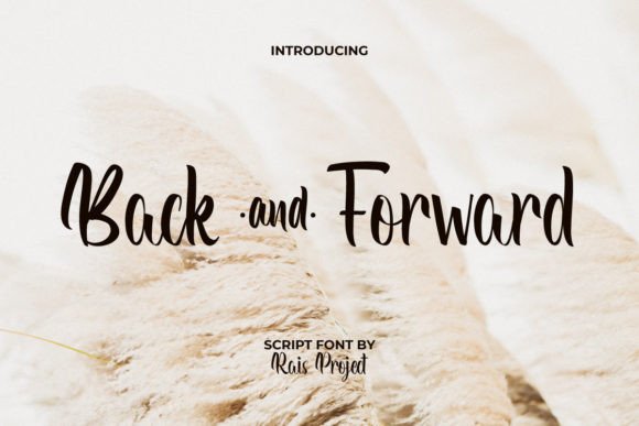 Back and Forward Font Review