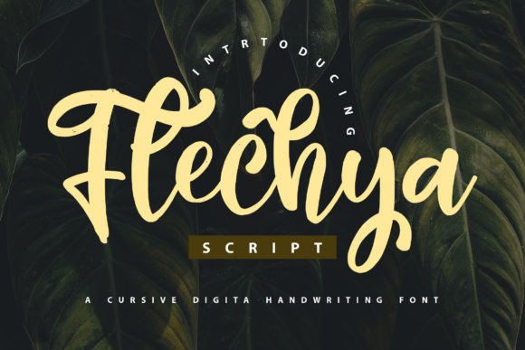 Flechya: A Stylish Font for Business Growth