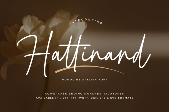 Hattinand: A Font for Elegant Campaigns