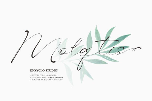 Molqtis: A Romantic Script Font for Business Branding